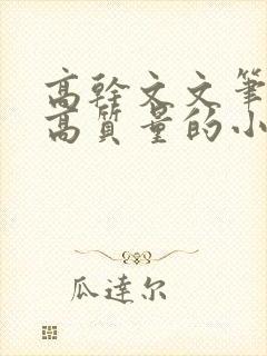 高干文文笔好的高质量的小说现代言情
