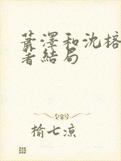 萧泽和沈榕宁原著结局
