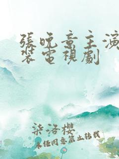 张晚意主演的古装电视剧