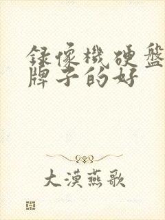 录像机硬盘什么牌子的好