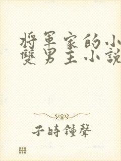 将军家的小儿子双男主小说