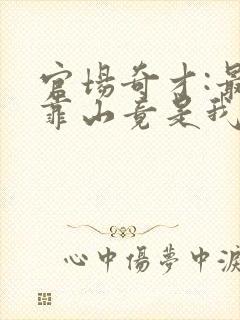 官场奇才:最强靠山竟是我自己李澜小说在