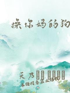 操你妈的狗逼