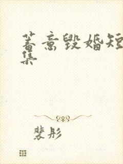 蓄意毁婚短剧全集