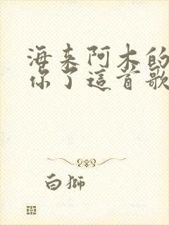 海来阿木的我想你了这首歌含义