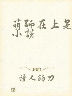 萌师在上是什么小说