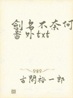 剑名不奈何完结番外txt