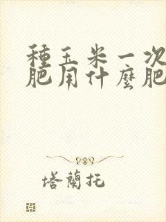 种玉米一次性施肥用什么肥料好