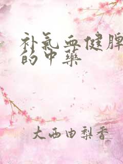 补气血健脾养胃的中药