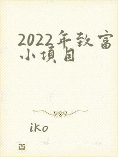 2022年致富小项目