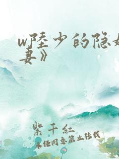 w陆少的隐婚罪妻》