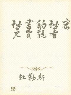 秘书的秘密在线免费观看