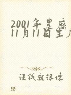 2001年农历11月11日生辰八字