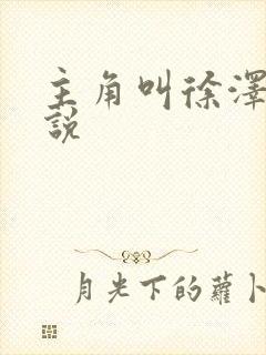 主角叫徐泽的小说