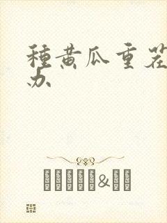 种黄瓜重茬怎么办
