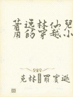 萧逸林仙儿为主角的穿越小说名字叫什么