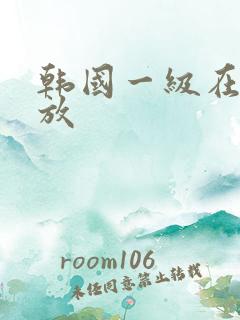 韩国一级在线播放
