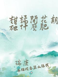 柑橘开花期需要施什么肥