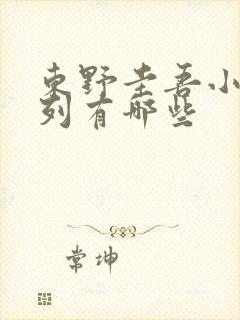 东野圭吾小说系列有哪些