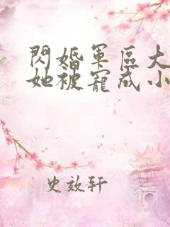 闪婚军区大佬后她被宠成小娇妻
