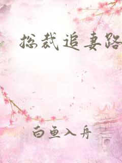 总裁追妻路漫漫
