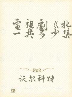 电视剧《北上》一共多少集