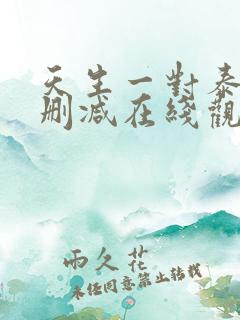 天生一对泰剧未删减在线观看