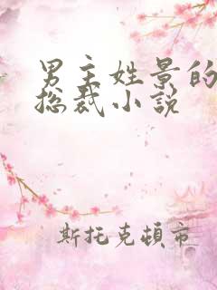 男主姓景的霸道总裁小说