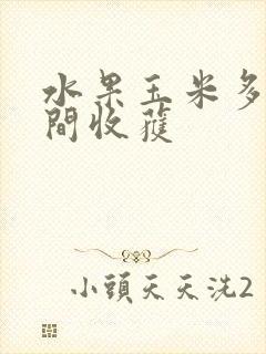 水果玉米多长时间收获
