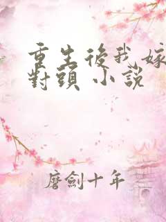 重生后我嫁了死对头 小说