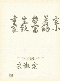 重生带着家人发家致富的小说