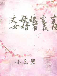 丈母娘家有儿子,女婿有义务养吗