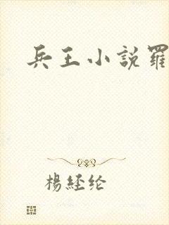 兵王小说罗铮