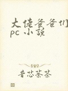 大佬爸爸们的npc 小说