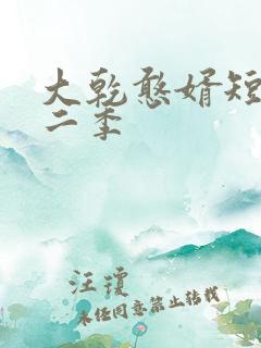 大乾憨婿短剧第二季