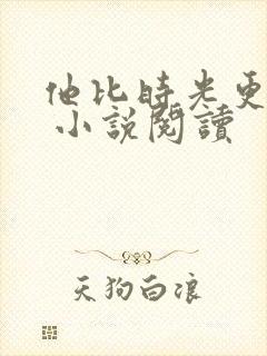 他比时光更深情 小说阅读