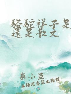 骆驼祥子是小说还是散文