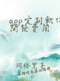 app定制软件开发费用