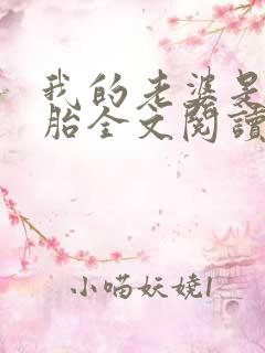 我的老婆是双胞胎全文阅读目录