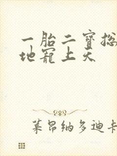 一胎二宝总裁爹地宠上天