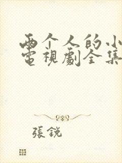 两个人的小森林电视剧全集免费播放