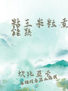 粘玉米粒煮多久能熟