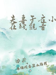 夫妻午夜小视频在线观看