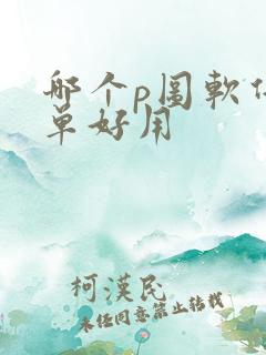 哪个p图软件简单好用