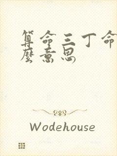 算命三丁命是什么意思 算命三丁命是什么意思