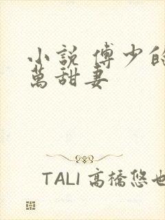小说 傅少的亿万甜妻