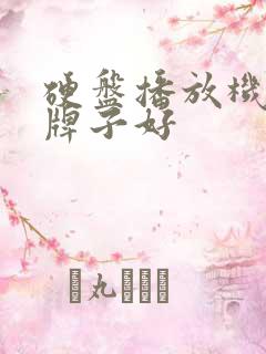 硬盘播放机哪个牌子好