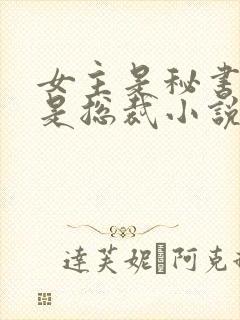 女主是秘书男主是总裁小说