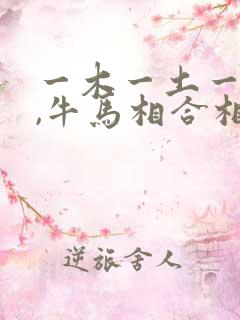 一木一土一方水,牛马相合相克出是什么生肖