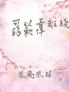 可以看离线小说的软件